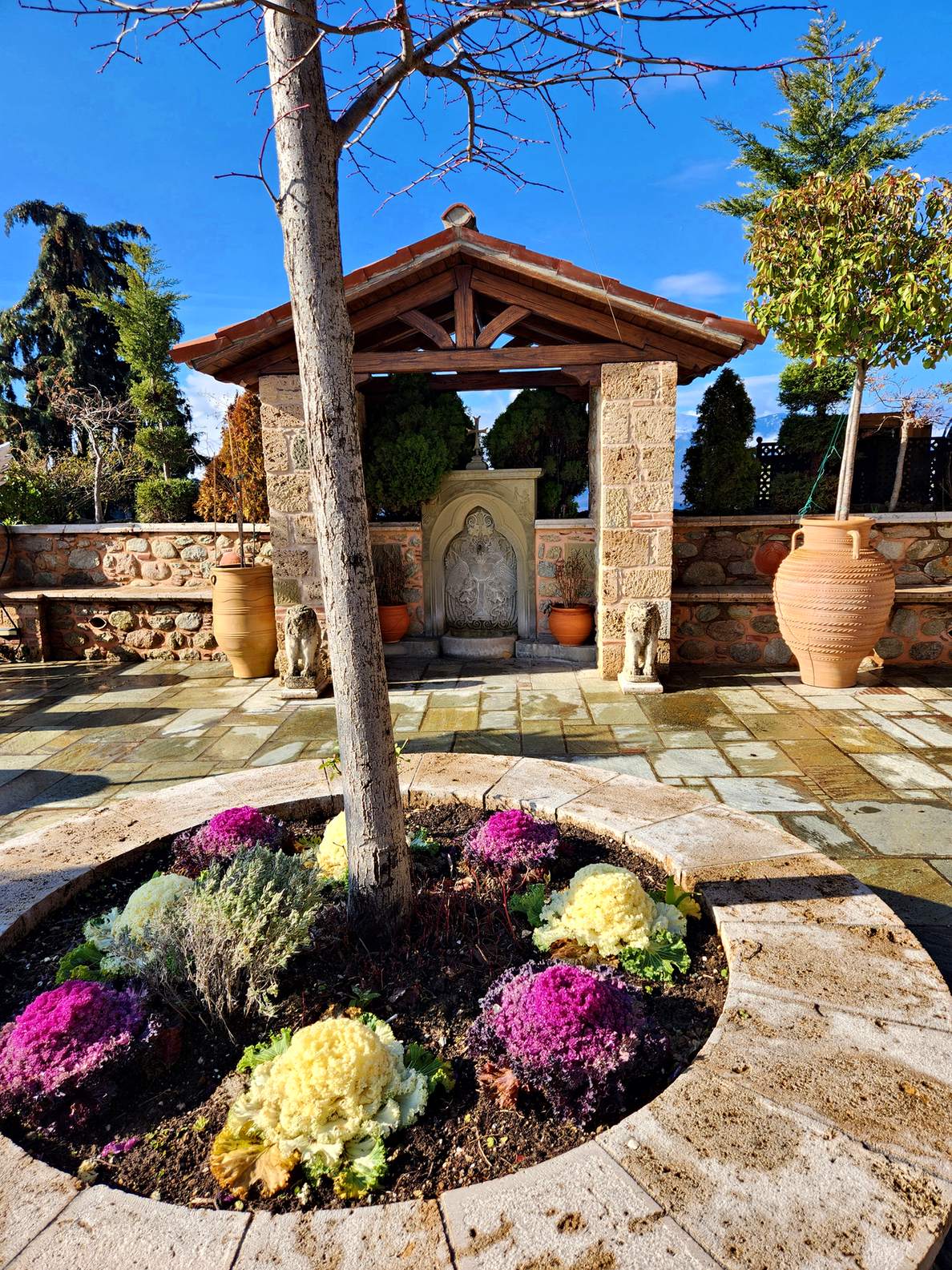 Winter flowers in a round stone bed in the courtyard