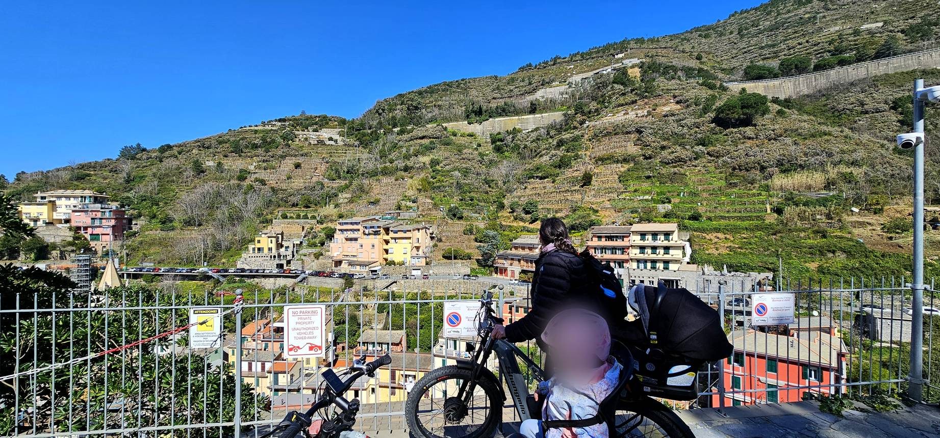 Bikes by the vineyard terraces